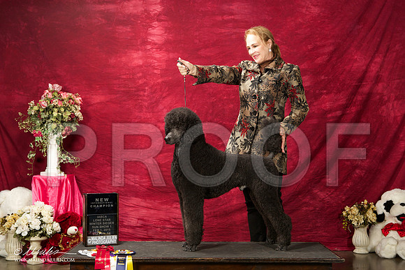 _ST_3001-BeltonJan2015IABCA-HR3