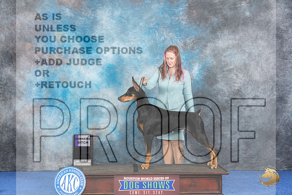 Doberman #28 WED WB Judge Alisa Brotherhood__JP_6702_Houston_2024_HR3