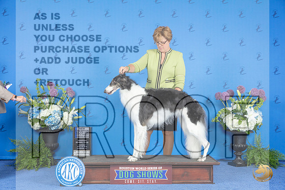 Borzoi #30 THUR WB BOW NC M Judge Dabbie Freeman__JP_8139_Houston_2024_HR3