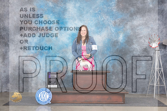 Chihuahua Smooth #9 Fri WD Judge Denise Dean__JP_5288_Amarillo_2024_HR3