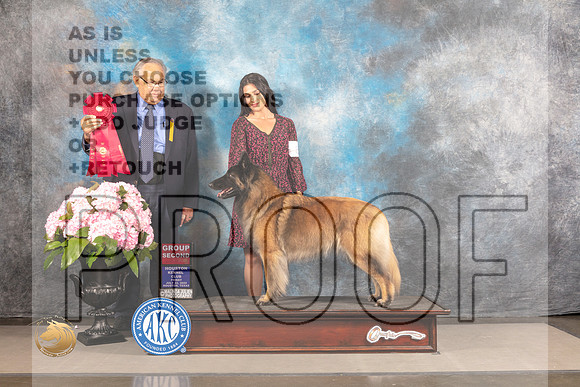 Belgian Tervuren #8 FRI G2 Judge John Wade_MJ_5968_Houston_2022_HR3