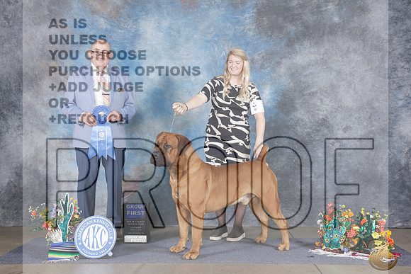 Boerboel #7 Sat G1 Judge Joe Walton_WP_0976e_San Antonio 2026