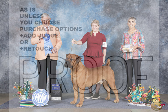 Boerboel #7 Fri G1 Judge Walter Sommerfelt_WP_0549e_San Antonio 2026