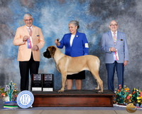 Elvira Reyes Henry San Antonio 2026