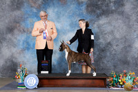 Celena Quinney San Antonio 2026