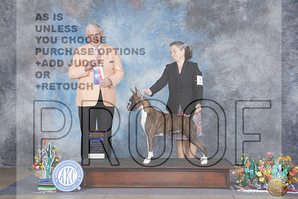 Boxer #14 Fri WB BOW BOS NCH Judge Walter Summerfelt_WP_0145e_San Antonio 2026