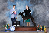 Hannah Burnham San Antonio 2026