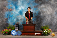 Yorkshire Terrier #18Sun BOW Judge Cindy Lane