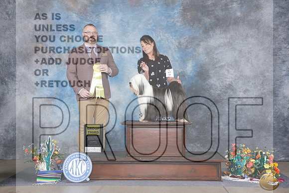 Tibetan Terrier #6 Sat G3 Judge Jason Hoke_WP_1151e_San Antonio 2026