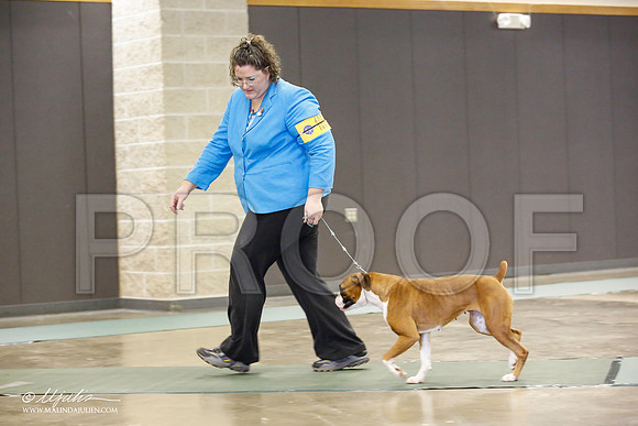 _JN_1649-BeltonJan2015-HR3