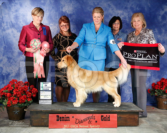 BestSweeps-6586-WFOct2013-HR