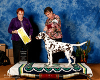 Dalmatian #17 Fri G3 OL