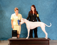 Cane Corseo #147 Sat S2 NC G1