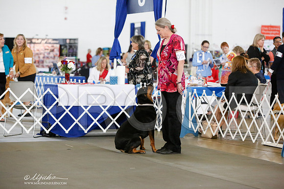 _JN_8254-DallasJul2014-HR3