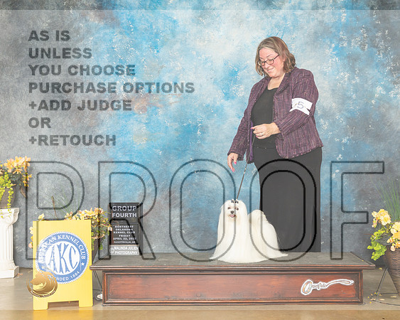 Maltese #5 Fri G4 Judge Betty Pollock-MMJ_9890-NWARK2022-HR3