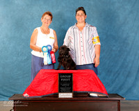 Affenpinscher #??? Sun S1 G1