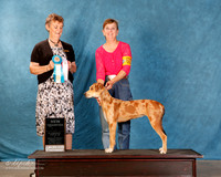 Louisiana Catahoula Leopard Dog #681 Sun S1 BOB NC