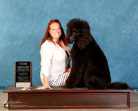 Poodle Standard #??? Sun S1 NGC