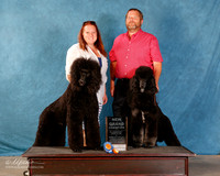 Poodle Standard #??? Sun S2 NGC Custom