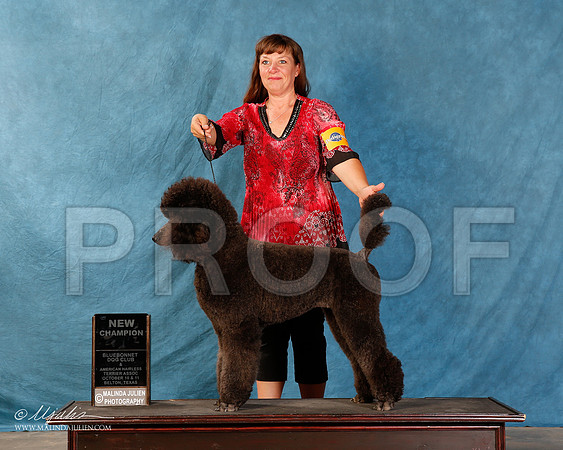 _R2_2235-2-BltnOctt2015-HR3