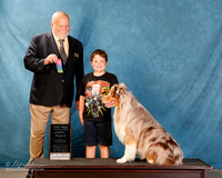 Australian Shepherd #??? Sun S1 1st Pee Wee