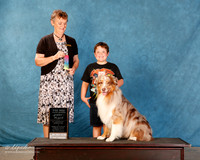 Australian Shepherd #??? Sun S2 Best Pee Wee