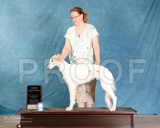 _R2_2220-2-BltnOctt2015-HR3