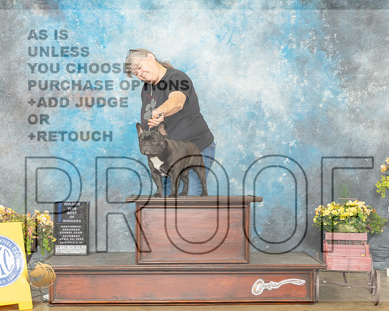 French Bulldog #7 Sat BOW Judge Jim Fehring-MMJ_0458-NWARK2022-HR3