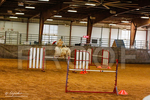 _MJ_2500-AfgBeltonOct2014-HR3