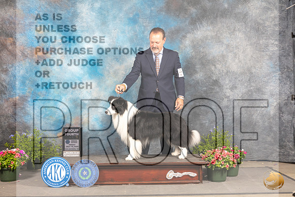 Border Collie #5 Fri G4 Judge Allen Odom_MJ_0079_SA_2022_HR3