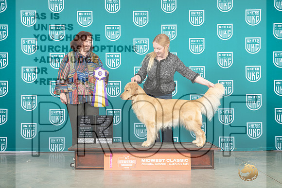 Golden Retriever #190 Sat R Kim Thomson BOW Judge Larry Hansen-_MJ_3533e_MWC2023-HR3
