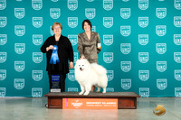 Diana L Allen MWC 2023