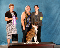 Borzoi RBIS Ashley Sydow