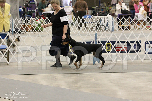 IMG_8863-Abilene2011-HR3