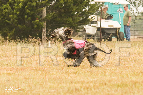 _MJ_3035-AfgBeltonOct2014-HR3