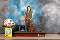 Labrador Retriever #32 THUR Obedience Judge?