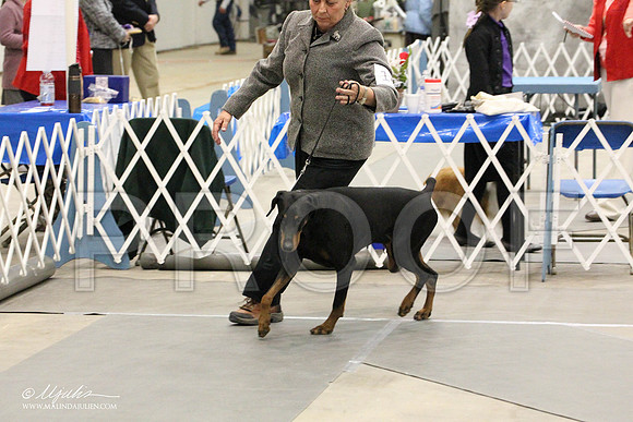 IMG_8876-Abilene2011-HR3