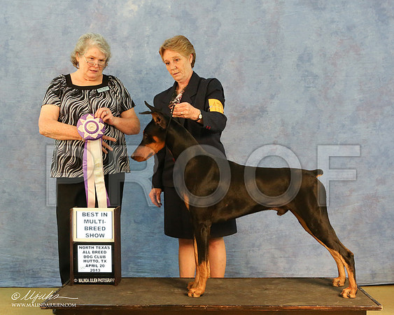dobe-1176-HR