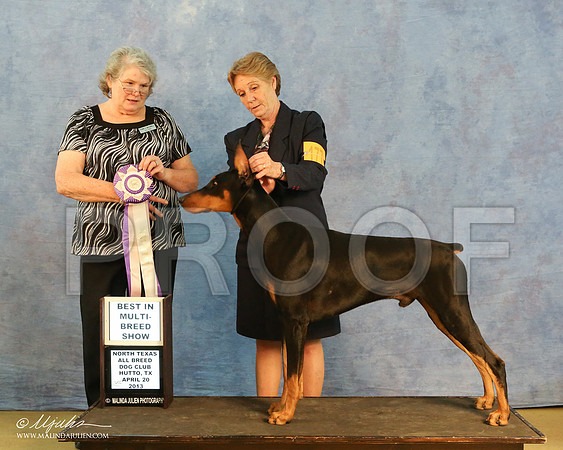 dobe-1183-HR