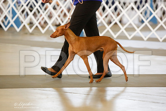 _JJ_7443-DallasJul2014-HR3