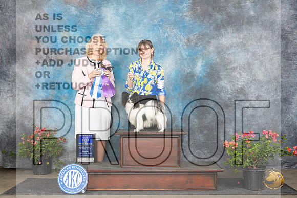 Papillion #5 Sun WDBOW Judge Pamela Wilson__JP_6125_San Antonio_2024_HR3