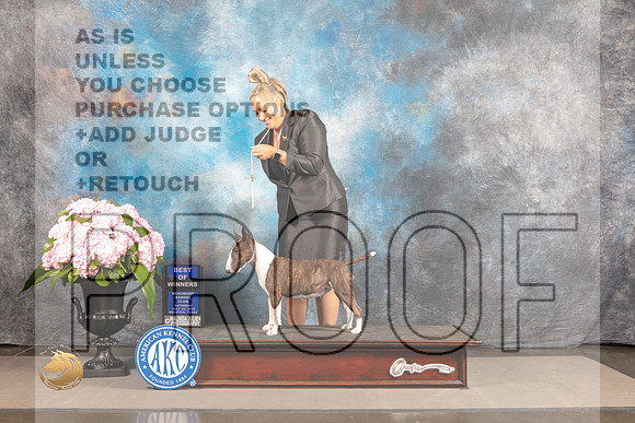 Miniature Bull Terrier #6 SAT BOW Judge Debra Guerrero_MJ_6527_Houston_2022_HR3