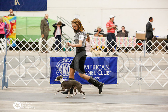 _CK_6068-AblnMay2014-web