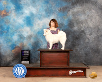 American Eskimo #10 Sat WBM Judge Joan Liebes