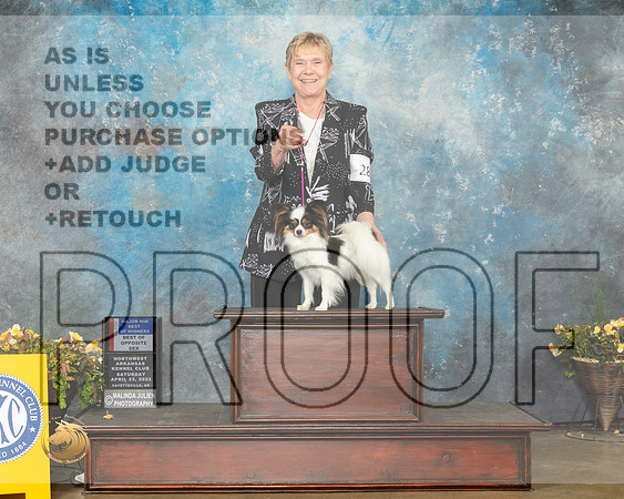 Papillon #23 Sun WBBOWBOS Judge John Ramirez-MMJ_1529-NWARK2022-HR3