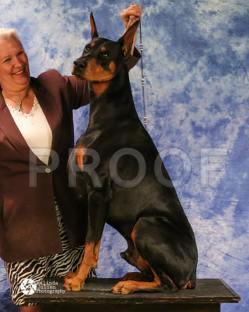 dobe-8192-MidFeb14-HR