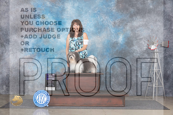 Havanese #11 Thur WDCH Judge Jon Cole__JP_4871_Amarillo_2024_HR3