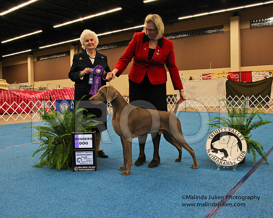 Weim-9280
