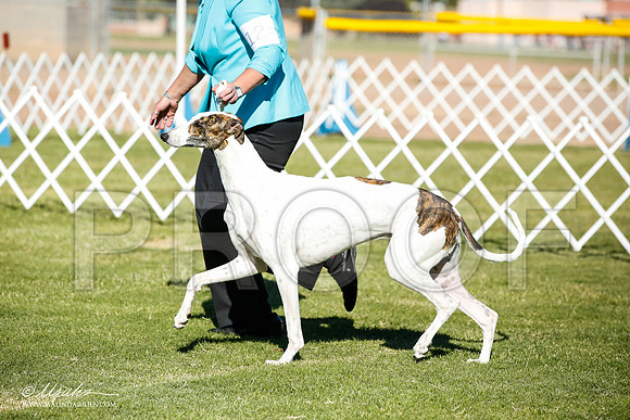 _JN_5645-AlamogordoOct2014-HR3