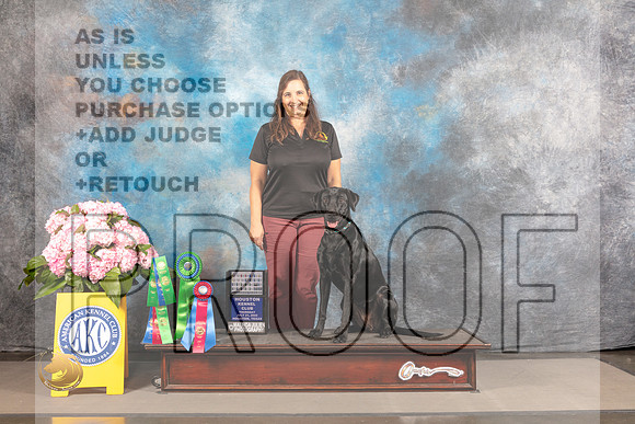 Labrador Retriever #54 THUR Obedience Judge Nancy Watson_MJ_3924_Houston_2022_HR3